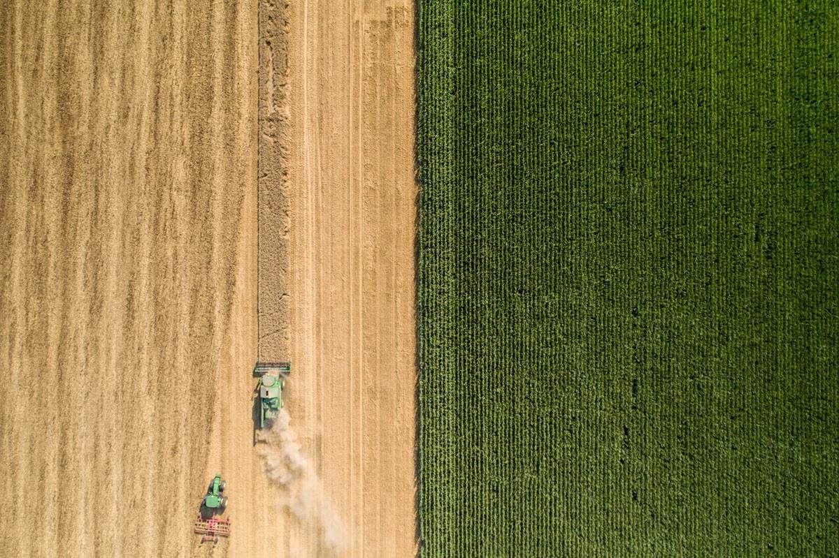 agricultural farming making an impact on the world