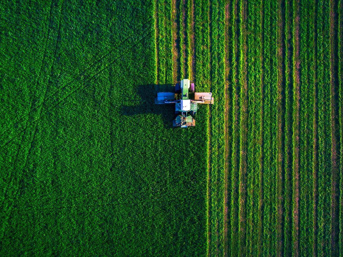 agriculture farming for food supply