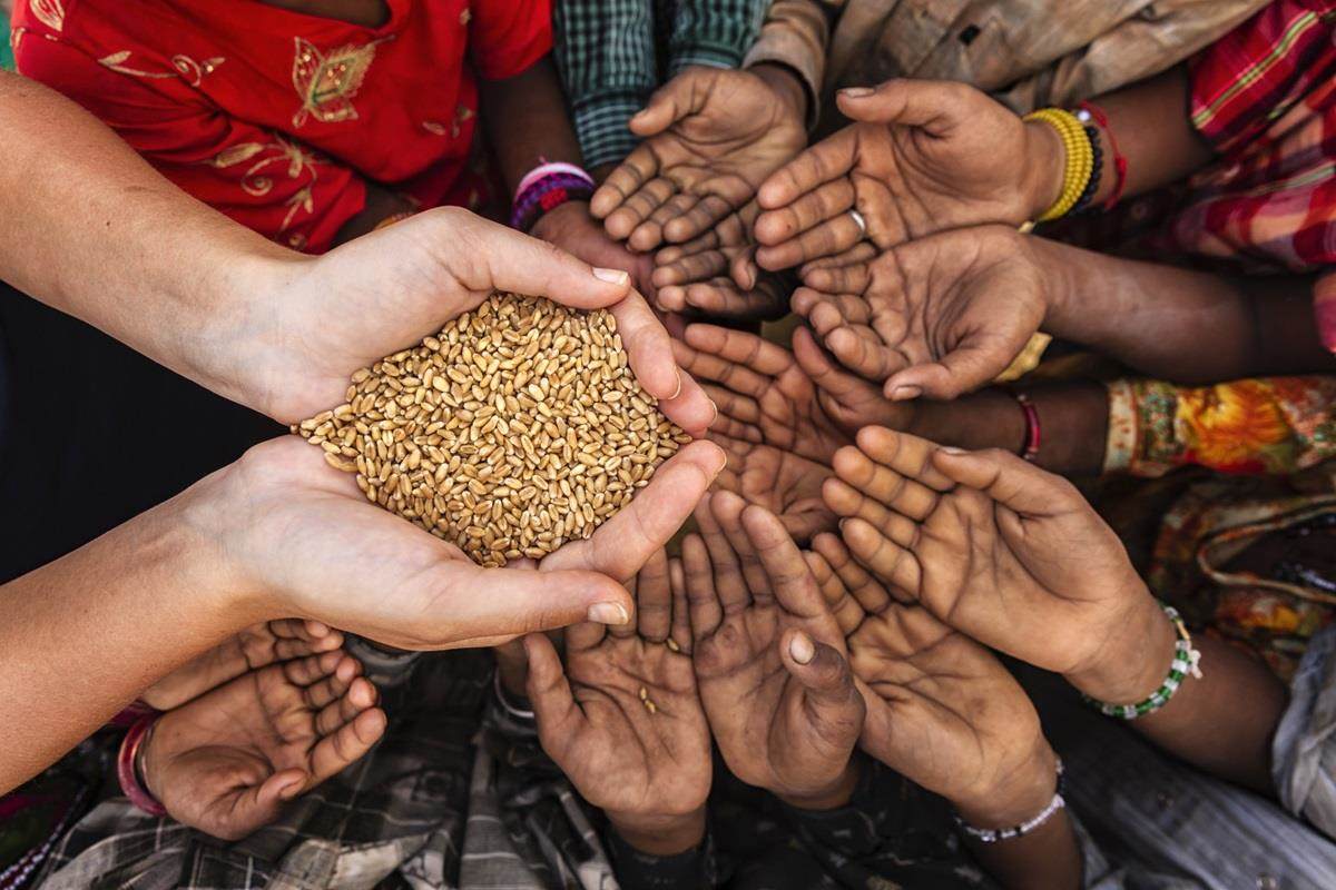 Agricultural partnership to feed others in need around the world