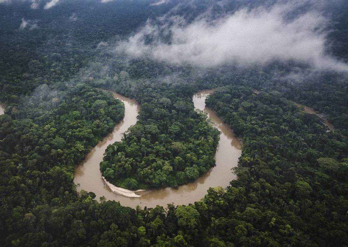 Amazon landscape agriculture