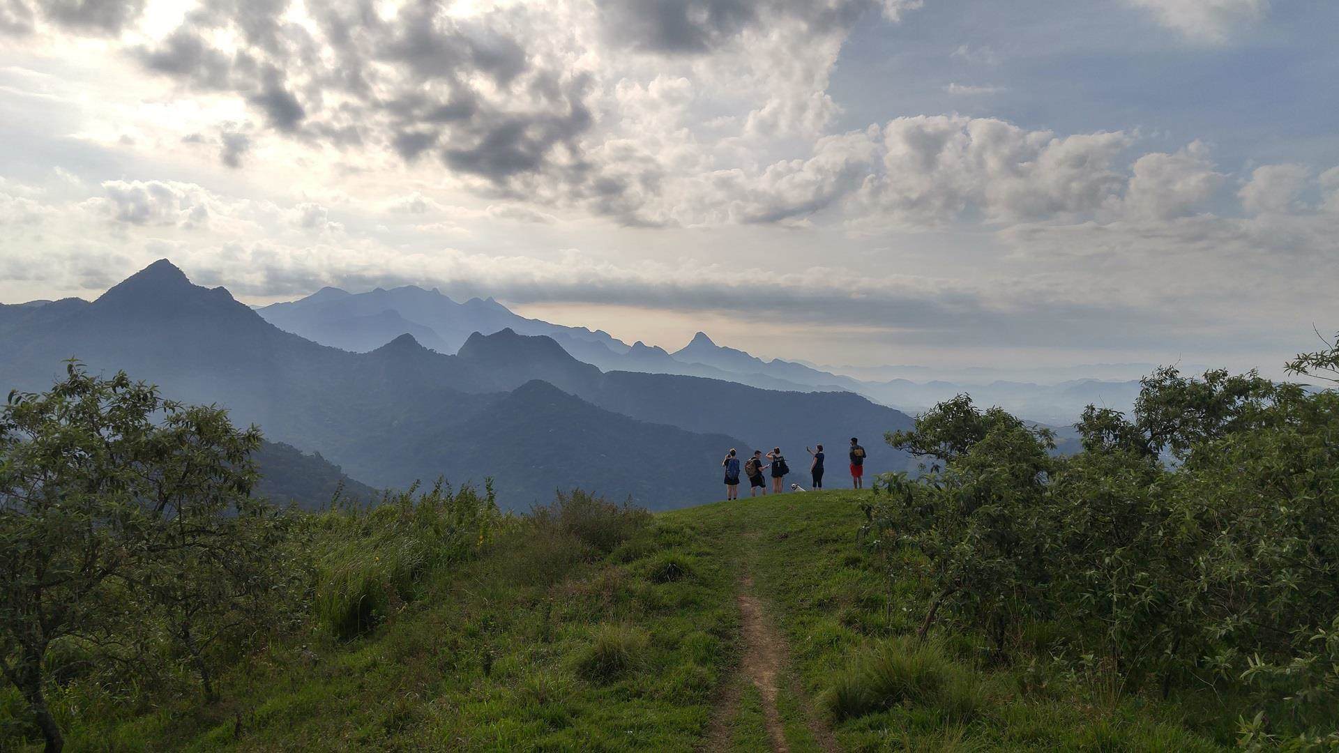 Sinal do Vale Atlantic Forest