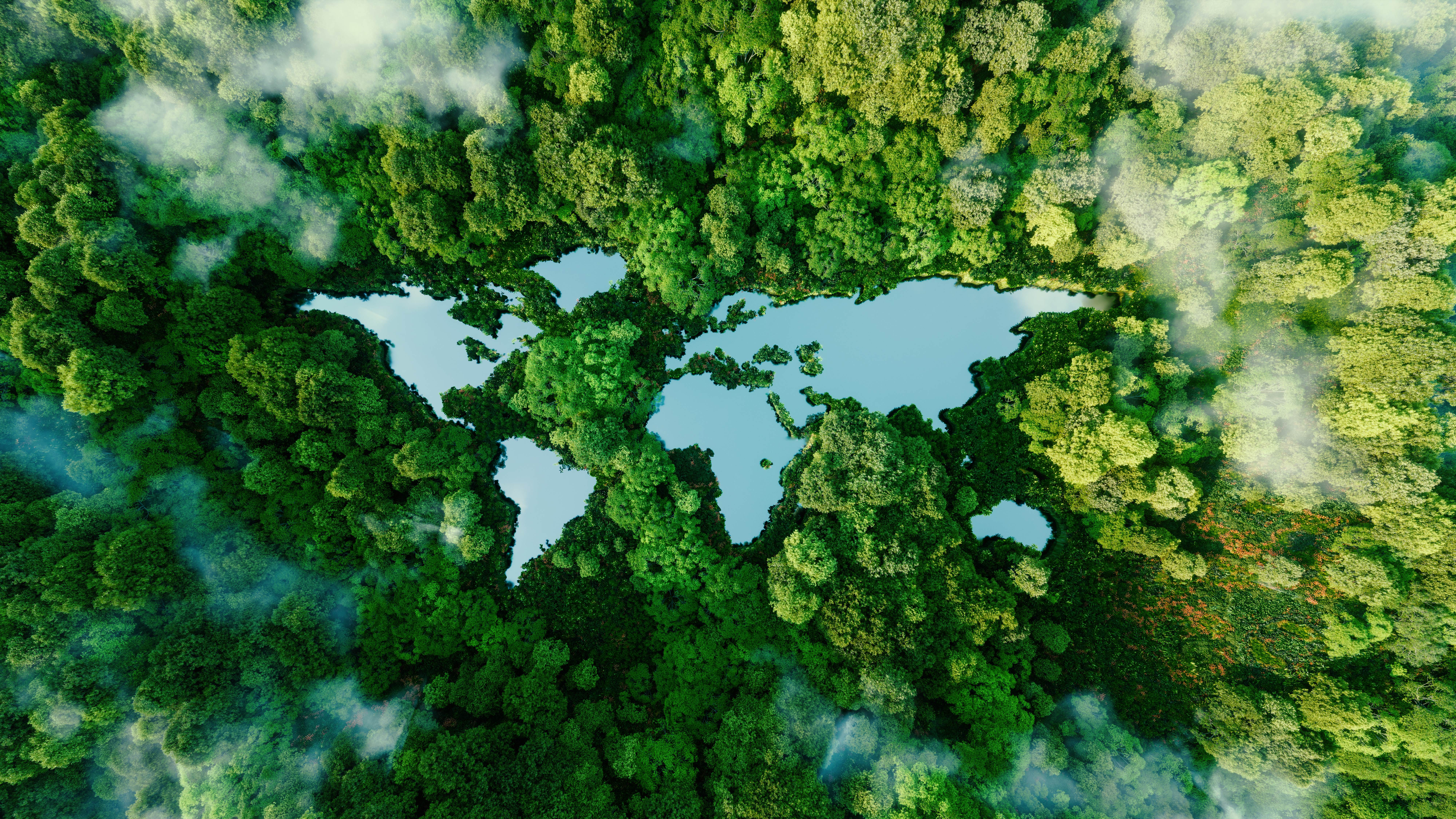 World map formed by aerial view of water in trees