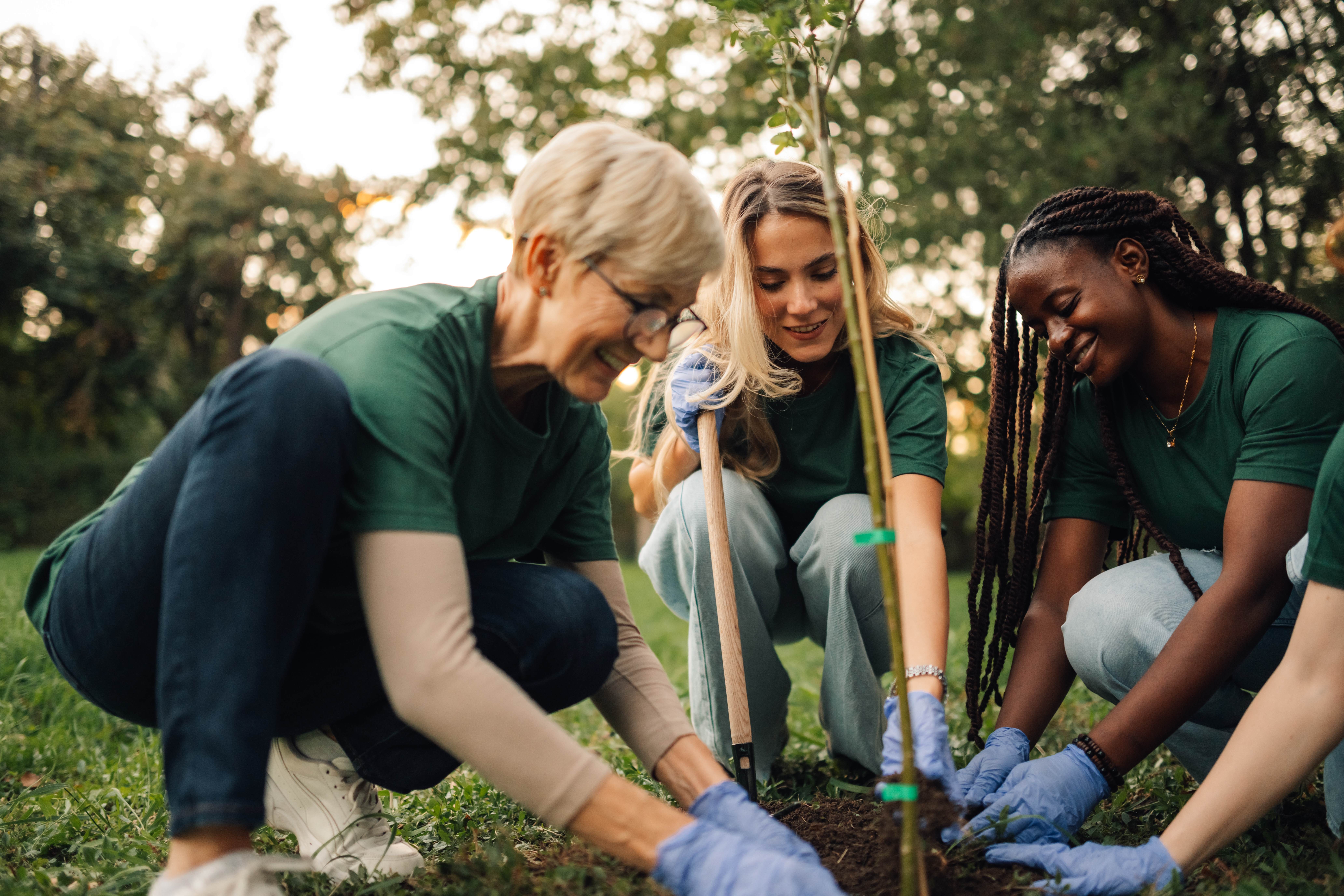 adults planting trees outdoors in nature